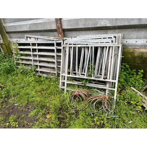 251 - BLOCK OF CALF PENS 11 SIDES AND 18 FRONTS AND BUCKET HOLDERS  + VAT