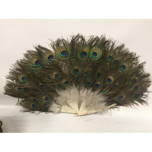 36 - A COLLECTION OF PEACOCK RELATED ITEMS, FEATHERS MIRROR ETC
