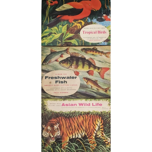 274 - THREE VINTAGE BROOK BOND TEA PICTURE CARD ALBUMS WITH CARDS TO INCLUDE FRESHWATER FISH, ASIAN WILD L... 