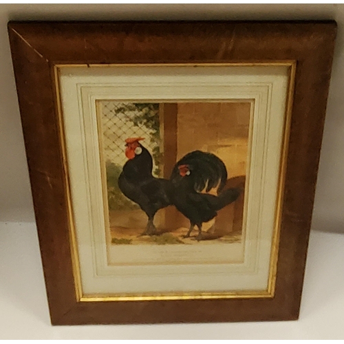 A CHICKEN BLACKBOARD AND A VICTORIAN PRINT OF A PAIR OF BLACK HAMBURGS