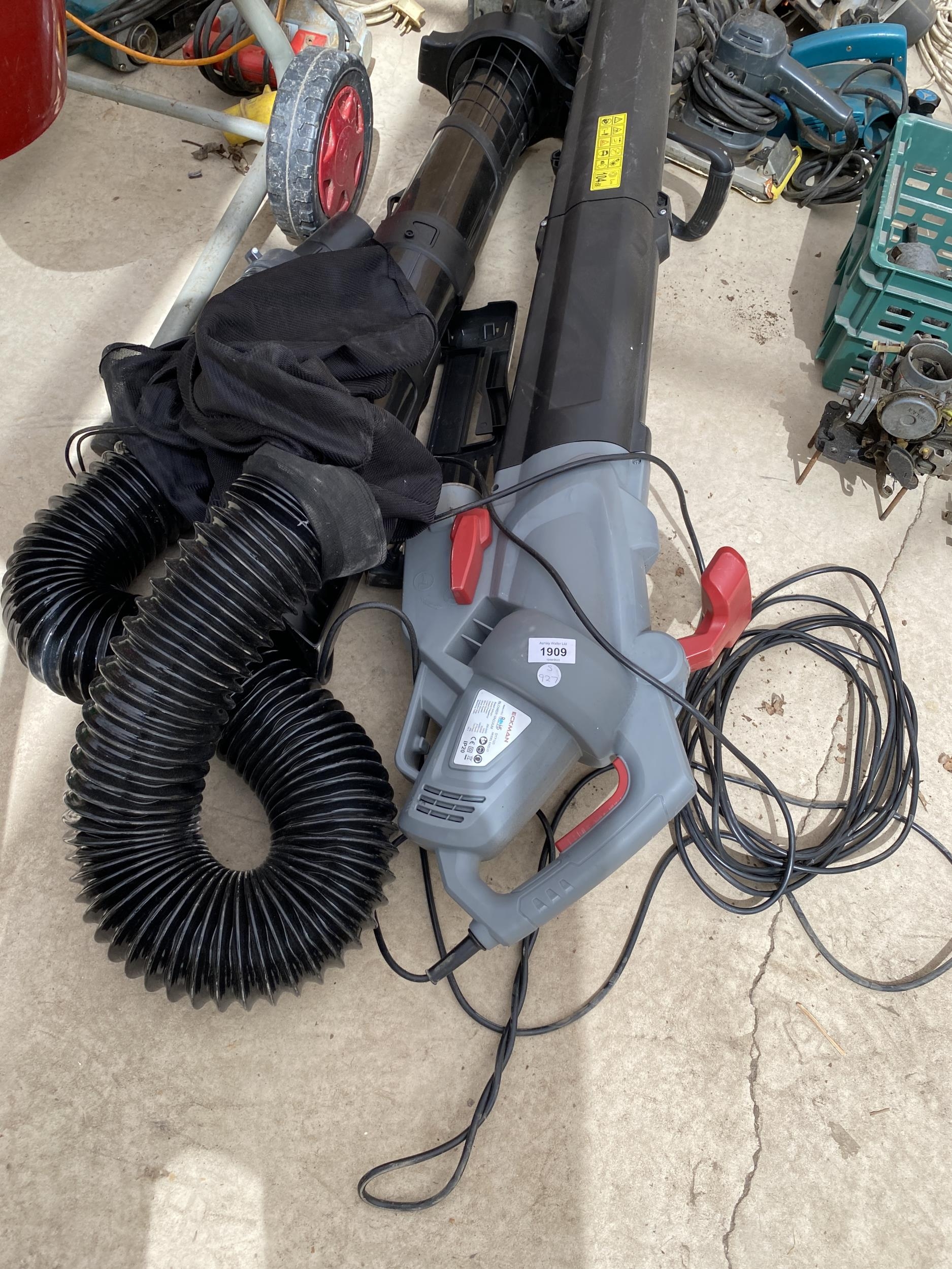 Eckman leaf deals blower