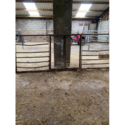 115 - 10' YARD GATE WITH TWO CALF CREEPS   + VAT