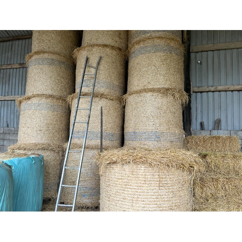 248A - 13 ROUND BALES OF BARLEY STRAW - TO BE SOLD AS ONE LOT    NO VAT