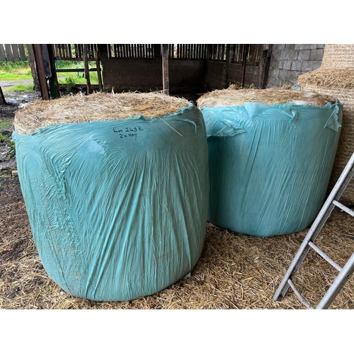 248B - TWO ROUND BALES OF HAY TO BE SOLD IN ONE LOT   NO VAT