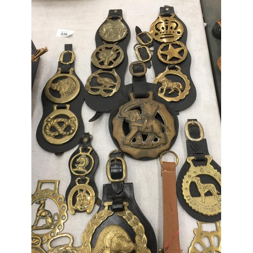 233 - A LARGE QUANTITY OF VINTAGE HORSE BRASSES