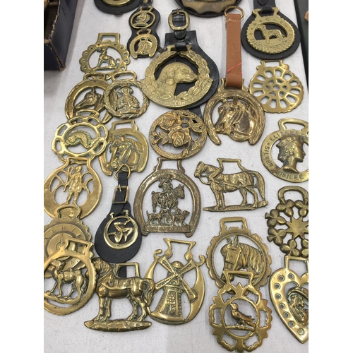 233 - A LARGE QUANTITY OF VINTAGE HORSE BRASSES