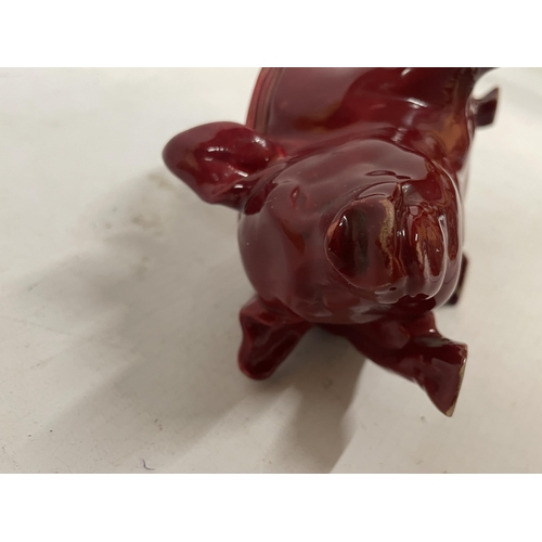 85 - A RARE ROYAL DOULTON FLAMBE PIG OPEN SALT ANIMAL FIGURE