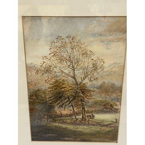 77 - A LATE 19TH CENTURY WATERCOLOUR OF TWO HORSES IN A WOODLAND INDISTINCTLY SIGNED, 37CM X 26CM, FRAMED... 