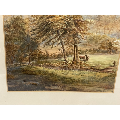 77 - A LATE 19TH CENTURY WATERCOLOUR OF TWO HORSES IN A WOODLAND INDISTINCTLY SIGNED, 37CM X 26CM, FRAMED... 