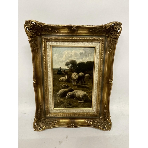 69 - CORNELIUS VAN LEEMPUTEN (BELGIUM 1841- 1902) SHEEP IN A WOODLAND SETTING, OIL ON PANEL, SIGNED, 27CM... 