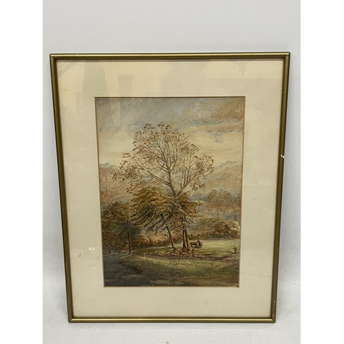 77 - A LATE 19TH CENTURY WATERCOLOUR OF TWO HORSES IN A WOODLAND INDISTINCTLY SIGNED, 37CM X 26CM, FRAMED... 