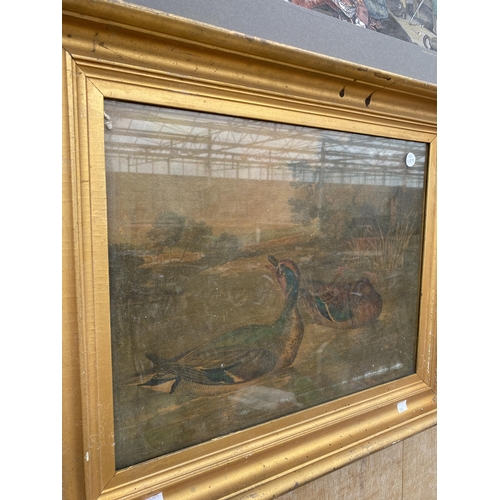 1594 - TWO GILT FRAMED OLEOGRAPHS OF MALLARDS AND A FURTHER PRINT