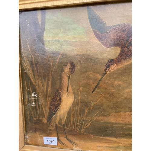 1594 - TWO GILT FRAMED OLEOGRAPHS OF MALLARDS AND A FURTHER PRINT