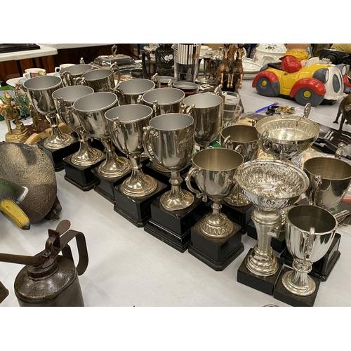 190 - A LARGE COLLECTION OF CUPS AND TROPHIES - 16 IN TOTAL