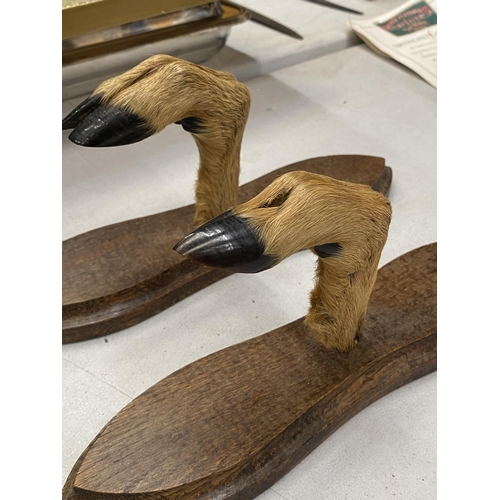 207 - A PAIR OF DEER FEET RIFLE MOUNTS