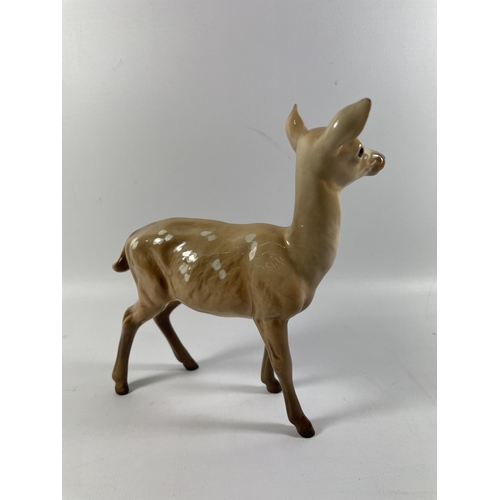 701 - A BESWICK BROWN GLOSS MODEL OF A DOE / DEER