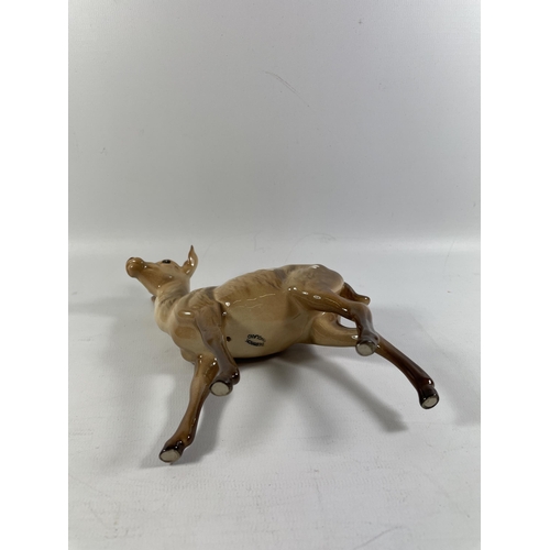 701 - A BESWICK BROWN GLOSS MODEL OF A DOE / DEER