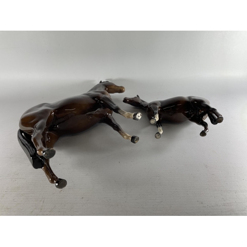 702 - TWO BESWICK BROWN GLOSS HORSE MODELS - BOIS ROUSELL AND LARGE RACEHORSE