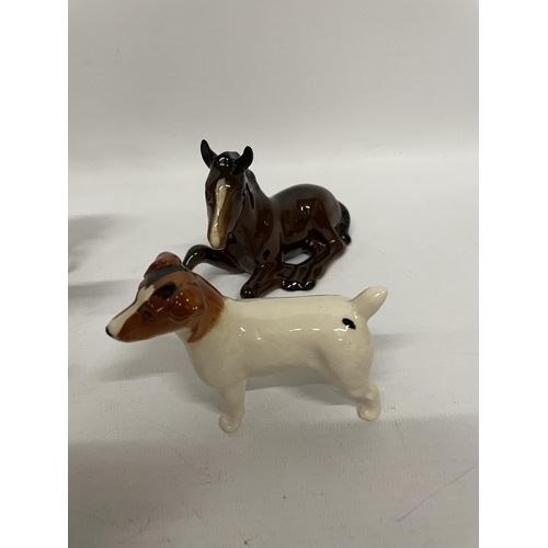 704 - FIVE BESWICK GLOSS ANIMAL MODELS - FOUR PONIES AND A JACK RUSSELL DOG