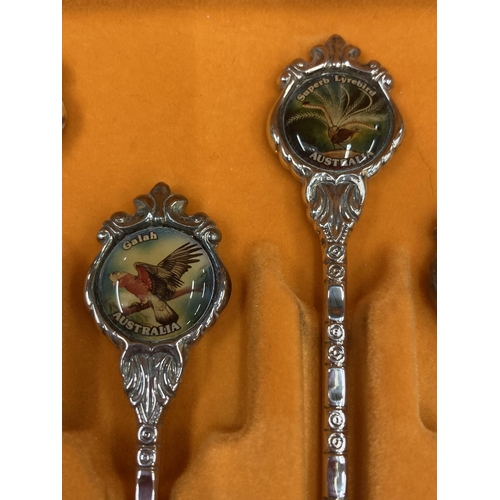 174 - A CASED SET OF AUSTRLIAN 'PERFECTION' SOUVENIR TEASPOONS WITH BIRD DESIGN TOPS