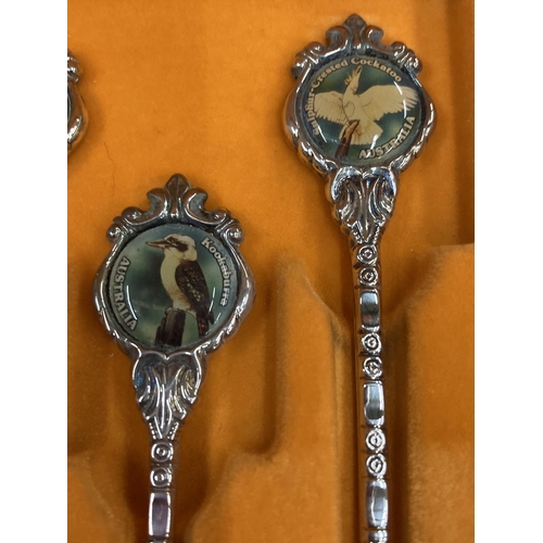 174 - A CASED SET OF AUSTRLIAN 'PERFECTION' SOUVENIR TEASPOONS WITH BIRD DESIGN TOPS