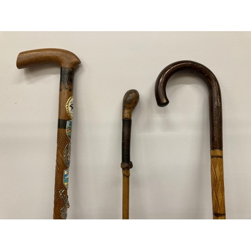 29 - A GROUP OF THREE VINTAGE WALKING STICKS TO INCLUDE BADGED EXAMPLE