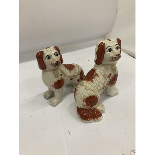 209 - A PAIR OF STAFFORDSHIRE SPANIELS