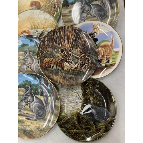 254 - A COLLECTION OF CABINET PLATES, WILDLIFE, TIGERS ETC