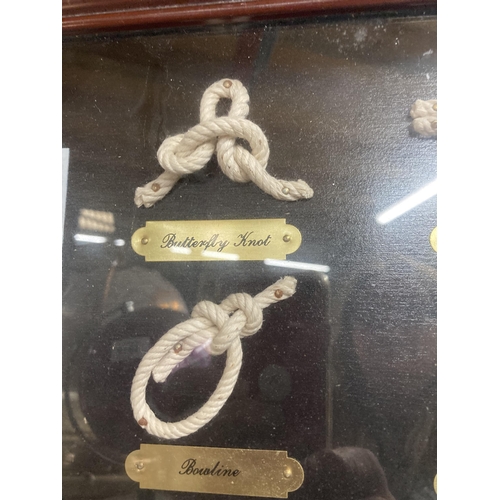 1009 - A NAUTICAL FRAMED KNOTS MONTAGE