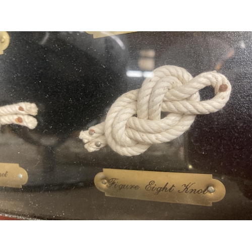 1009 - A NAUTICAL FRAMED KNOTS MONTAGE