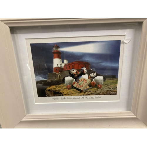 1031 - THREE FRAMED TAPESTRIES, A CAT, TIGER AND FLOWERS PLUS A HUMOROUS PRINT OF PUFFINS