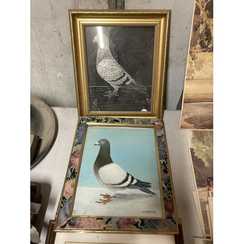 996 - A QUANTITY OF HOMING PIGEON ITEMS, FRAMED PICTURES ETC