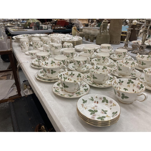 164 - A LARGE QUANTITY OF WEDGWOOD 'WILD STRAWBERRY' DINNERWARE TO INCLUDE VARIOUS SIZES OF PLATES, BOWLS,... 