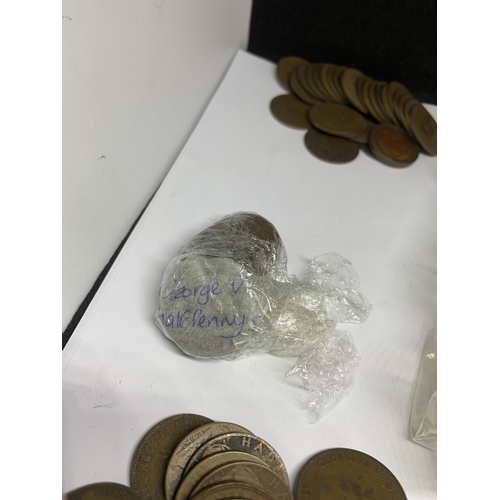 399 - A LARGE QUANTITY OF BRITISH HALF PENNY COINS, VARIOUS DATES