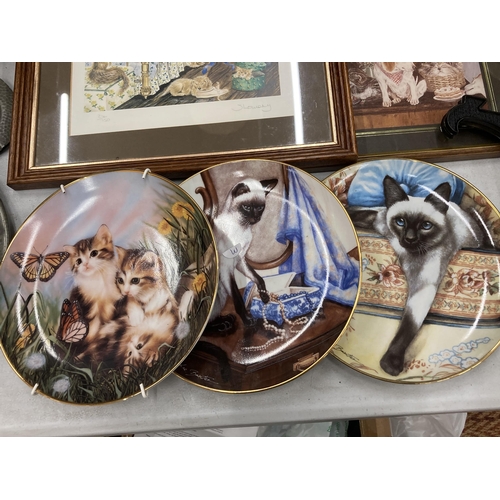 851 - THREE CAT CABINET PLATES, A CAST CAT AND FABRIC ROBIN DOOR STOP PLUS TWO FRAMED PRINTS