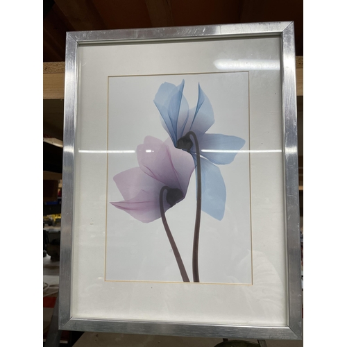 1090 - TWO FRAMED BOTANICAL PRINTS