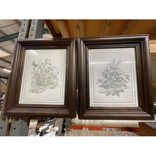 1102 - A PAIR OF FRAMED BOTANICAL PRINTS