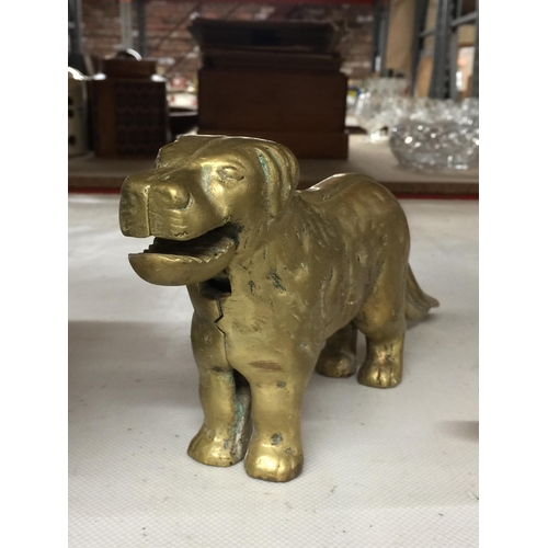 1135 - A VINTAGE BRASS DOG NUTCRACKER