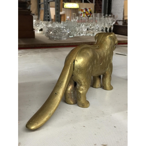 1135 - A VINTAGE BRASS DOG NUTCRACKER