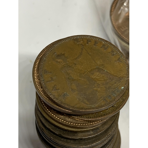 487 - A LARGE QUANTITY OF ONE PENNYS DATING BACK TO 1860 AND A STACK OF HALF PENNYS