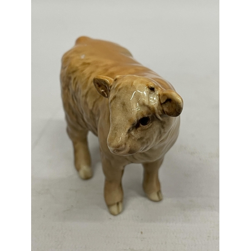 739 - A BESWICK HIGHLAND CALF