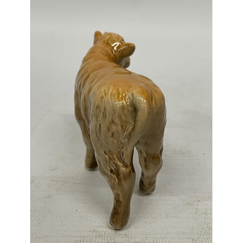 739 - A BESWICK HIGHLAND CALF