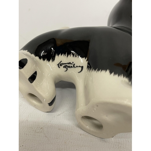 750 - A LORNA BAILEY HAND PAINTED AND SIGNED BENGO DOG