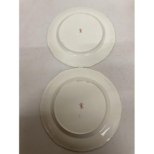 759 - A PAIR OF ROYAL CROWN DERBY 25 CM PLATES 