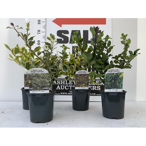 Lot 20        