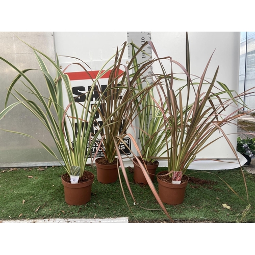 Lot 23        