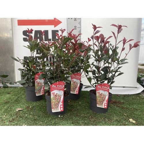 Lot 24        