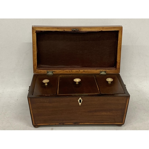 26 - A GEORGIAN MAHOGANY TEA CADDY WITH THREE INNER COMPARTMENTS AND LION HANDLES