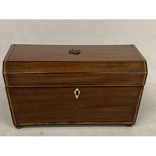 26 - A GEORGIAN MAHOGANY TEA CADDY WITH THREE INNER COMPARTMENTS AND LION HANDLES