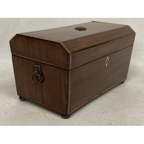 26 - A GEORGIAN MAHOGANY TEA CADDY WITH THREE INNER COMPARTMENTS AND LION HANDLES